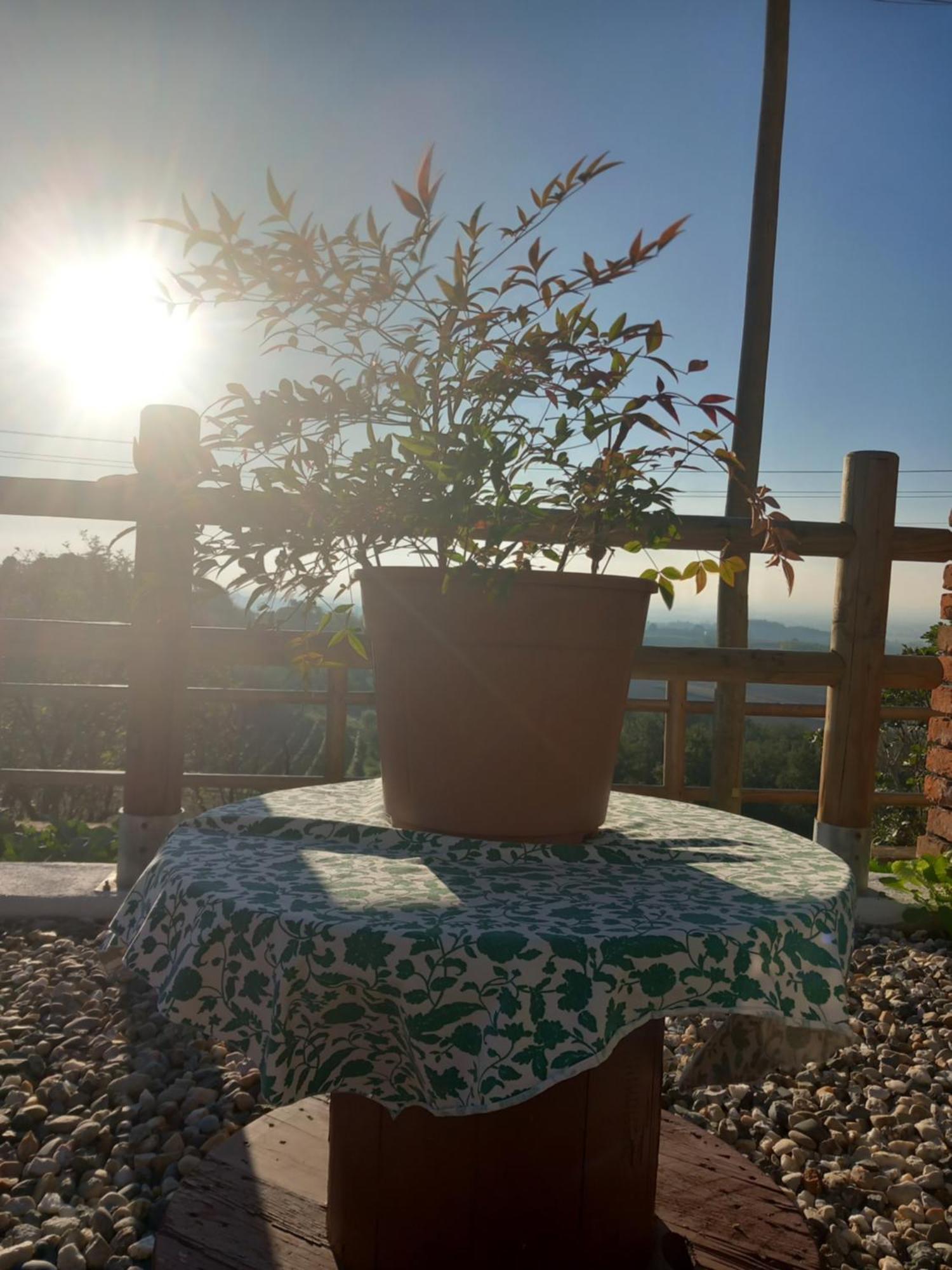 Lu (Piedmont) Il Cortile Di Greta Bed & Breakfast エクステリア 写真