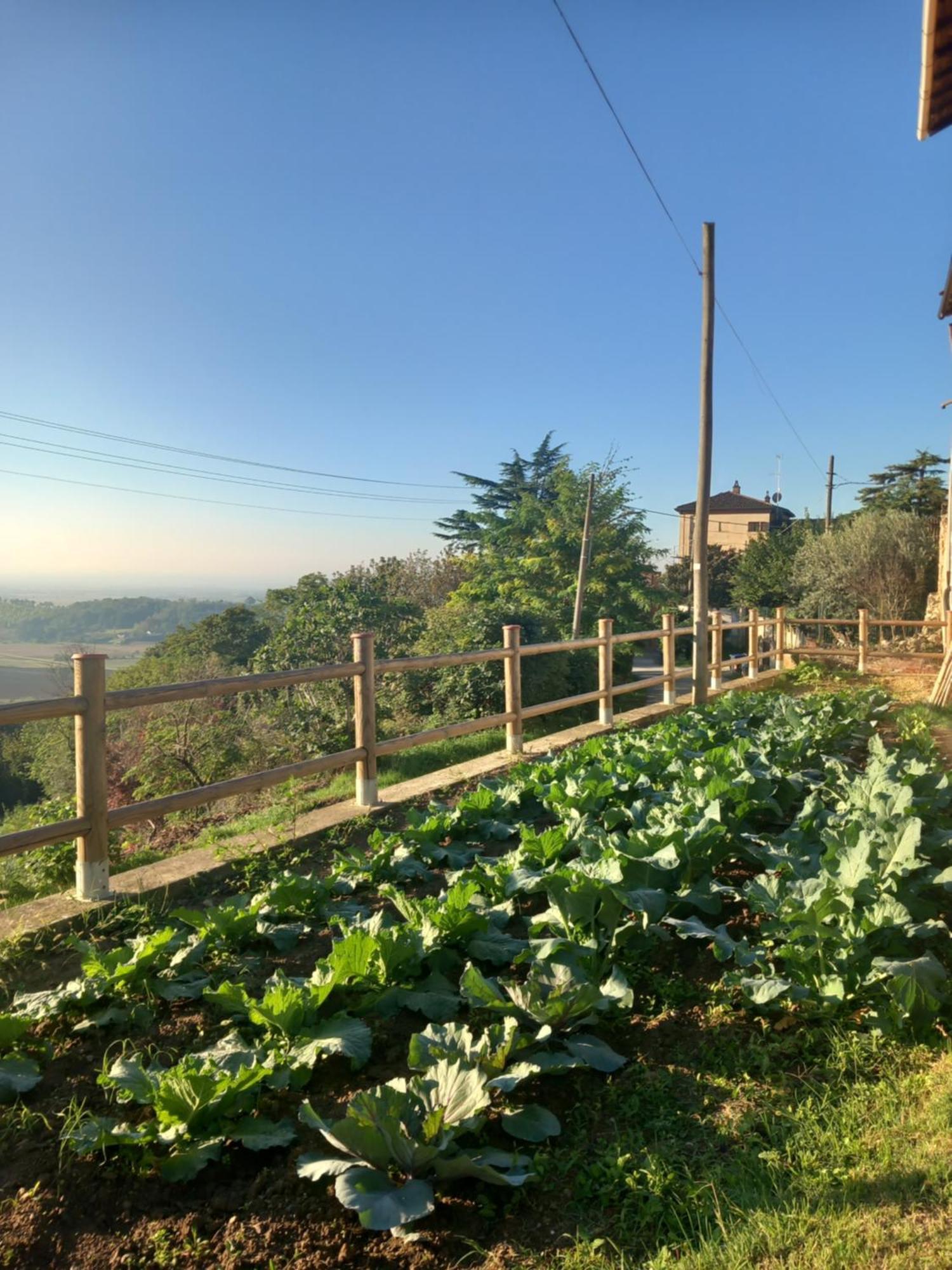 Lu (Piedmont) Il Cortile Di Greta Bed & Breakfast エクステリア 写真